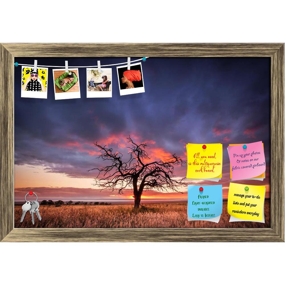 ArtzFolio Tree in the Flinders Ranges of South Australia Printed Bulletin Board Notice Pin Board Soft Board | Framed-Bulletin Boards Framed-AZ5006172BLB_FR_RF_R-0-Image Code 5006172 Vishnu Image Folio Pvt Ltd, IC 5006172, ArtzFolio, Bulletin Boards Framed, Landscapes, Places, Photography, tree, in, the, flinders, ranges, of, south, australia, printed, bulletin, board, notice, pin, soft, framed, beauty, clouds, colour, dead, farm, field, horizon, landscape, light, meadow, nature, outdoor, port, pirie, purple