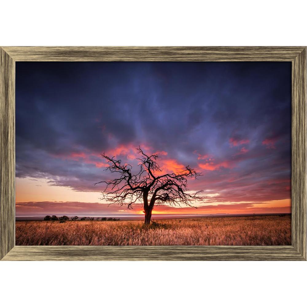 ArtzFolio Tree in the Flinders Ranges of South Australia Canvas Painting Synthetic Frame-Paintings Synthetic Framing-AZ5006172ART_FR_RF_R-0-Image Code 5006172 Vishnu Image Folio Pvt Ltd, IC 5006172, ArtzFolio, Paintings Synthetic Framing, Landscapes, Places, Photography, tree, in, the, flinders, ranges, of, south, australia, canvas, painting, synthetic, frame, framed, print, wall, for, living, room, with, poster, pitaara, box, large, size, drawing, art, split, big, office, reception, kids, panel, designer, 