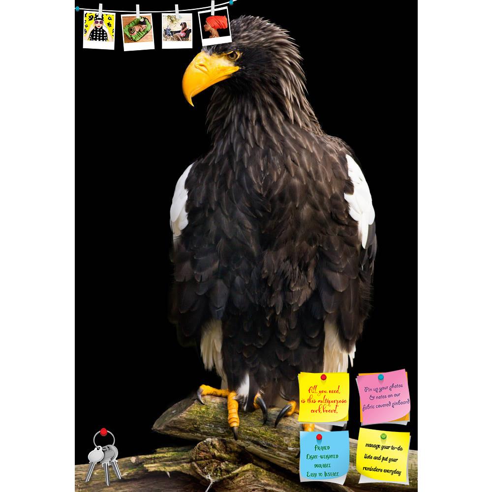 ArtzFolio Steller Sea Eagle Haliaeetus Pelagicus Printed Bulletin Board Notice Pin Board Soft Board | Frameless-Bulletin Boards Frameless-AZ5006186BLB_FL_RF_R-0-Image Code 5006186 Vishnu Image Folio Pvt Ltd, IC 5006186, ArtzFolio, Bulletin Boards Frameless, Birds, Photography, steller, sea, eagle, haliaeetus, pelagicus, printed, bulletin, board, notice, pin, soft, frameless, profile, nobody, sea-eagle, bird, dramatic, head, vigilant, feather, falconry, freedom, portrait, full, length, wing, orientation, bea
