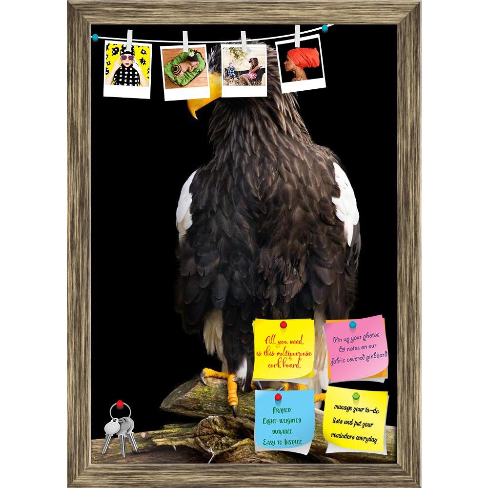 ArtzFolio Steller Sea Eagle Haliaeetus Pelagicus Printed Bulletin Board Notice Pin Board Soft Board | Framed-Bulletin Boards Framed-AZ5006186BLB_FR_RF_R-0-Image Code 5006186 Vishnu Image Folio Pvt Ltd, IC 5006186, ArtzFolio, Bulletin Boards Framed, Birds, Photography, steller, sea, eagle, haliaeetus, pelagicus, printed, bulletin, board, notice, pin, soft, framed, profile, nobody, sea-eagle, bird, dramatic, head, vigilant, feather, falconry, freedom, portrait, full, length, wing, orientation, beak, face, ste