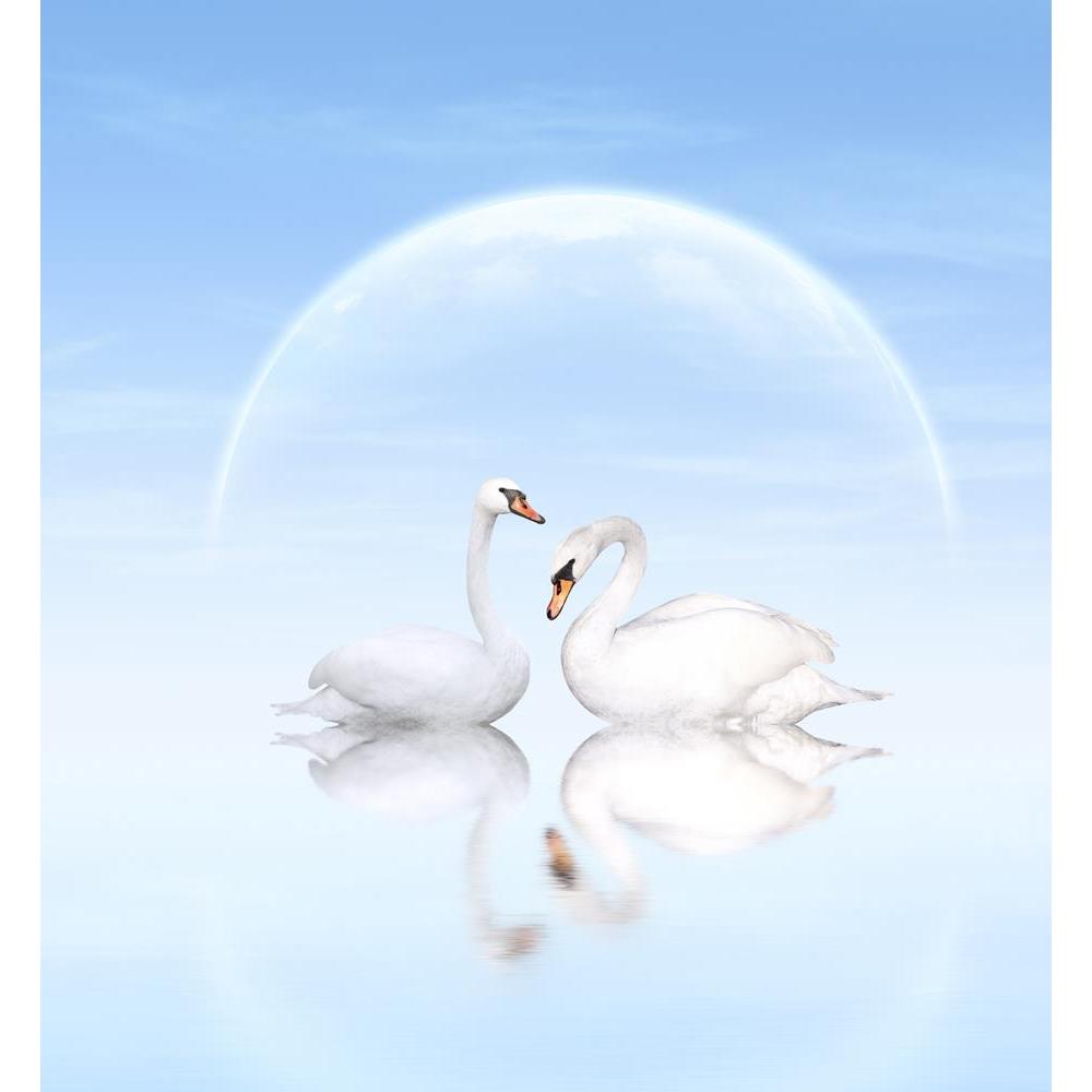 ArtzFolio Two White Swans D5 Peel & Stick Vinyl Wall Sticker-Laminated Wall Stickers-AZ5006187ART_UN_RF_R-0-Image Code 5006187 Vishnu Image Folio Pvt Ltd, IC 5006187, ArtzFolio, Laminated Wall Stickers, Birds, Photography, two, white, swans, d5, peel, stick, vinyl, wall, sticker, for, bedroom, large, size, decal, drawing, room, living, decorative, big, waterproof, home, office, reception, pitaara, box, designer, prints, kids, pvc, amazonbasics, washable, abstract, self, adhesive, imported, small, decals, ki