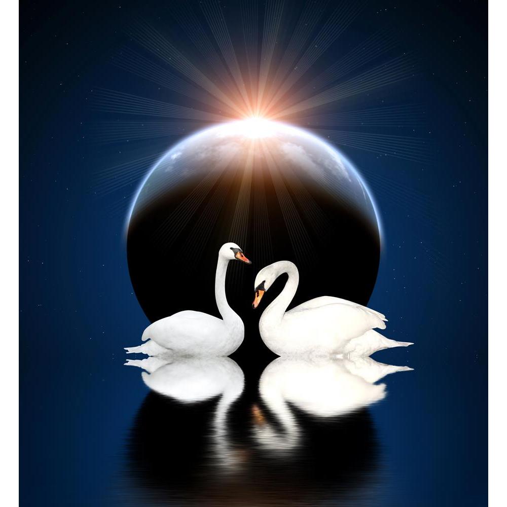 ArtzFolio Two White Swans D6 Canvas Painting-Paintings MDF Framing-AZ5006188ART_UN_RF_R-0-Image Code 5006188 Vishnu Image Folio Pvt Ltd, IC 5006188, ArtzFolio, Paintings MDF Framing, Birds, Photography, two, white, swans, d6, canvas, painting, framed, print, wall, for, living, room, with, frame, poster, pitaara, box, large, size, drawing, art, split, big, office, reception, of, kids, panel, designer, decorative, amazonbasics, reprint, small, bedroom, on, scenery, swan, bird, pair, animal, lake, love, night,