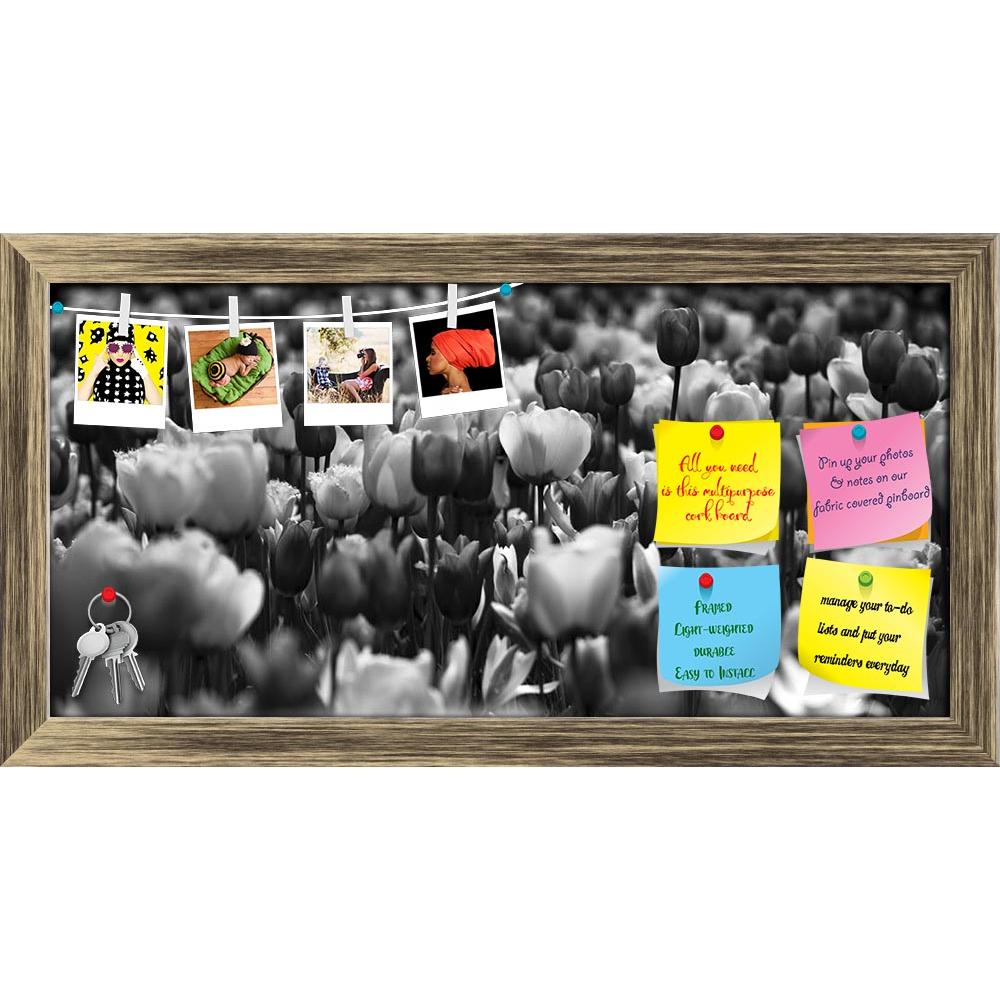 ArtzFolio Beautiful Black & White Picture Of Tulips Printed Bulletin Board Notice Pin Board Soft Board | Framed-Bulletin Boards Framed-AZ5006208BLB_FR_RF_R-0-Image Code 5006208 Vishnu Image Folio Pvt Ltd, IC 5006208, ArtzFolio, Bulletin Boards Framed, Floral, Photography, beautiful, black, white, picture, of, tulips, printed, bulletin, board, notice, pin, soft, framed, tulip, background, flower, flowers, garden, spring, park, beauty, bloom, blossom, blossoms, bright, bunch, close, up, holland, close-up, day