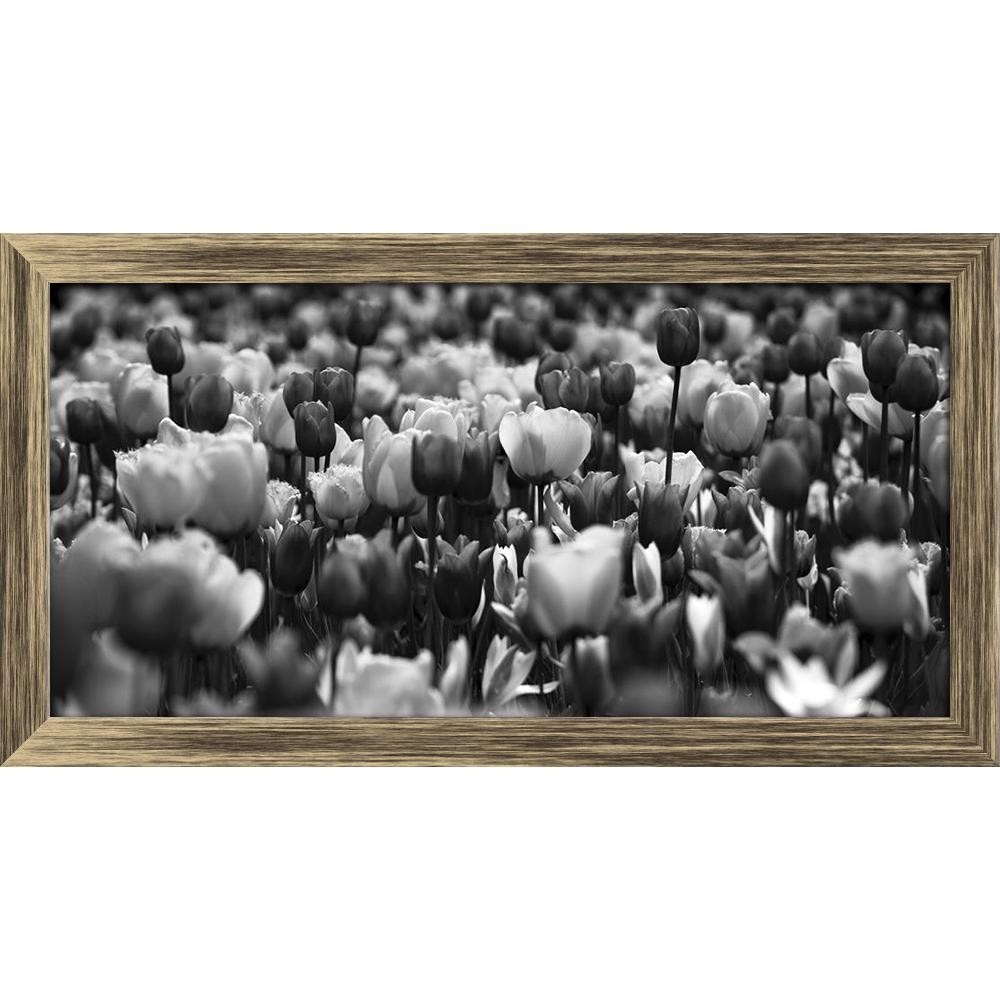 ArtzFolio Beautiful Black White Picture Of Tulips Canvas Painting-Paintings Wooden Framing-AZ5006208ART_FR_RF_R-0-Image Code 5006208 Vishnu Image Folio Pvt Ltd, IC 5006208, ArtzFolio, Paintings Wooden Framing, Floral, Photography, beautiful, black, white, picture, of, tulips, canvas, painting, framed, print, wall, for, living, room, with, frame, poster, pitaara, box, large, size, drawing, art, split, big, office, reception, kids, panel, designer, decorative, amazonbasics, reprint, small, bedroom, on, scener