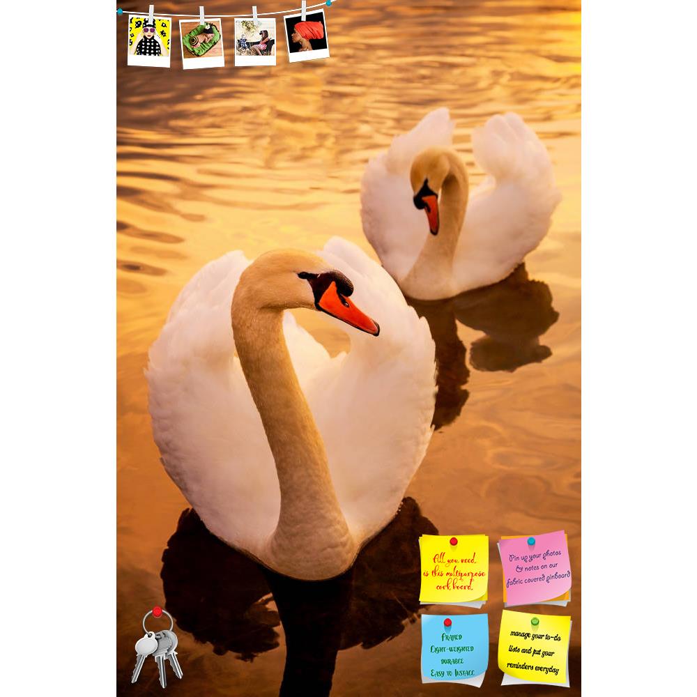 ArtzFolio Pair of Swans at Sunset Printed Bulletin Board Notice Pin Board Soft Board | Frameless-Bulletin Boards Frameless-AZ5006217BLB_FL_RF_R-0-Image Code 5006217 Vishnu Image Folio Pvt Ltd, IC 5006217, ArtzFolio, Bulletin Boards Frameless, Birds, Photography, pair, of, swans, at, sunset, printed, bulletin, board, notice, pin, soft, frameless, animal, beak, bill, bird, close, cygnus, david, tyrer, feather, graceful, horizontal, lake, mute, nature, olor, ornithology, peaceful, plumage, pond, reflection, sw