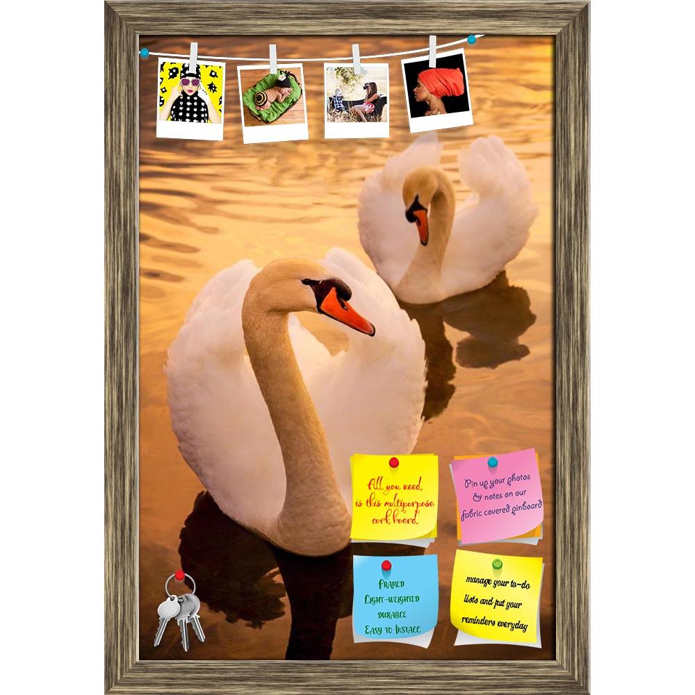 ArtzFolio Pair of Swans at Sunset Printed Bulletin Board Notice Pin Board Soft Board | Framed-Bulletin Boards Framed-AZ5006217BLB_FR_RF_R-0-Image Code 5006217 Vishnu Image Folio Pvt Ltd, IC 5006217, ArtzFolio, Bulletin Boards Framed, Birds, Photography, pair, of, swans, at, sunset, printed, bulletin, board, notice, pin, soft, framed, animal, beak, bill, bird, close, cygnus, david, tyrer, feather, graceful, horizontal, lake, mute, nature, olor, ornithology, peaceful, plumage, pond, reflection, swan, swimming