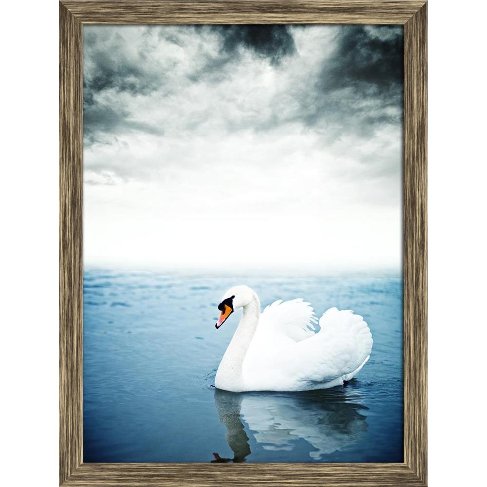 ArtzFolio Swan Floating On The Surface Of A Lake Canvas Painting-Paintings Wooden Framing-AZ5006258ART_FR_RF_R-0-Image Code 5006258 Vishnu Image Folio Pvt Ltd, IC 5006258, ArtzFolio, Paintings Wooden Framing, Birds, Photography, swan, floating, on, the, surface, of, a, lake, canvas, painting, framed, print, wall, for, living, room, with, frame, poster, pitaara, box, large, size, drawing, art, split, big, office, reception, kids, panel, designer, decorative, amazonbasics, reprint, small, bedroom, scenery, mu