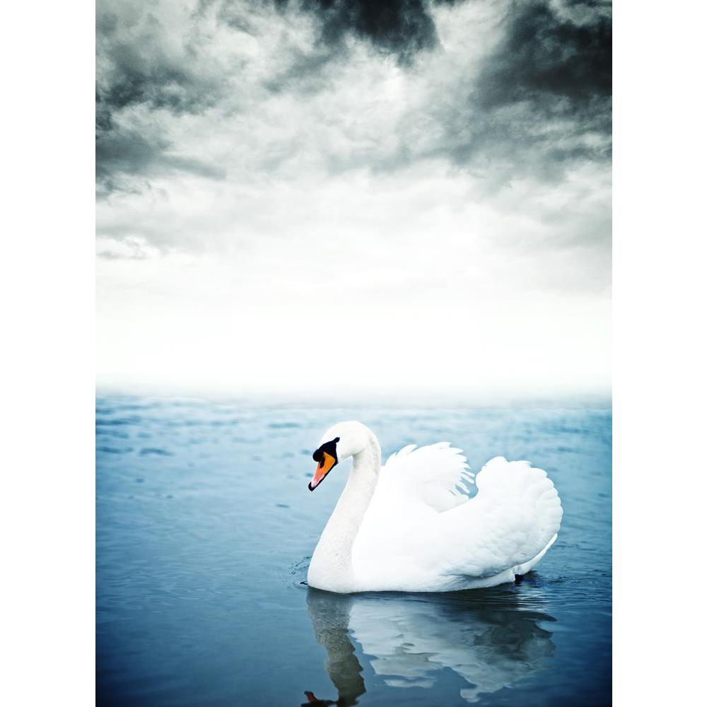 ArtzFolio Swan Floating On The Surface Of A Lake Peel & Stick Vinyl Wall Sticker-Laminated Wall Stickers-AZ5006258ART_UN_RF_R-0-Image Code 5006258 Vishnu Image Folio Pvt Ltd, IC 5006258, ArtzFolio, Laminated Wall Stickers, Birds, Photography, swan, floating, on, the, surface, of, a, lake, peel, stick, vinyl, wall, sticker, for, bedroom, large, size, decal, drawing, room, living, decorative, big, waterproof, home, office, reception, pitaara, box, designer, prints, kids, pvc, amazonbasics, washable, abstract,