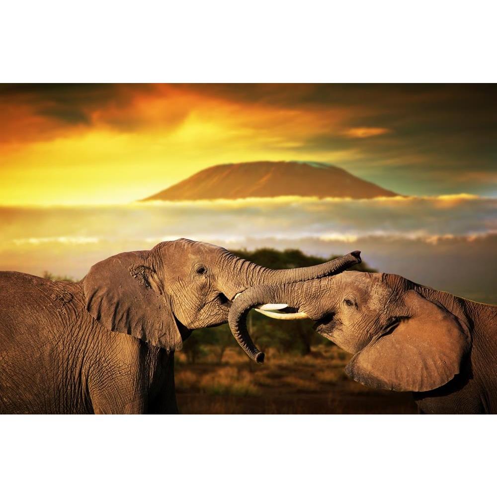 ArtzFolio Elephants Playing With Their Trunks On Mount Kilimanjaro Unframed Premium Canvas Painting-Paintings Unframed Premium-AZ5006266ART_UN_RF_R-0-Image Code 5006266 Vishnu Image Folio Pvt Ltd, IC 5006266, ArtzFolio, Paintings Unframed Premium, Animals, Photography, elephants, playing, with, their, trunks, on, mount, kilimanjaro, unframed, premium, canvas, painting, large, size, print, wall, for, living, room, without, frame, decorative, poster, art, pitaara, box, drawing, amazonbasics, big, kids, design