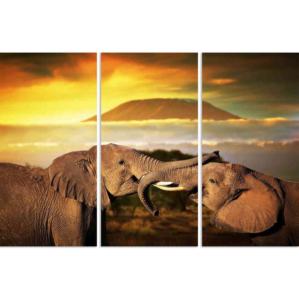ArtzFolio Elephants Playing With Their Trunks On Mount Kilimanjaro Split Art Painting Panel on Sunboard-Split Art Panels-AZ5006266SPL_FR_RF_R-0-Image Code 5006266 Vishnu Image Folio Pvt Ltd, IC 5006266, ArtzFolio, Split Art Panels, Animals, Photography, elephants, playing, with, their, trunks, on, mount, kilimanjaro, split, art, painting, panel, sunboard, framed, canvas, print, wall, for, living, room, frame, poster, pitaara, box, large, size, drawing, big, office, reception, of, kids, designer, decorative,