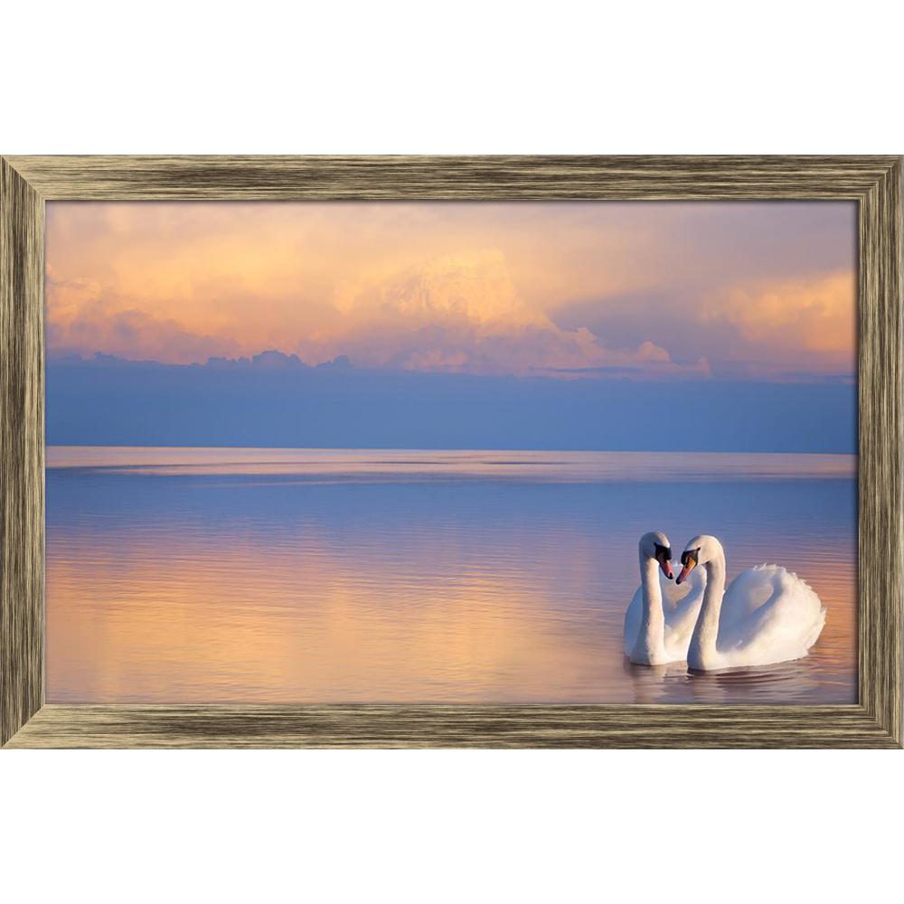 ArtzFolio Two White Swans On A Lake Canvas Painting-Paintings Wooden Framing-AZ5006274ART_FR_RF_R-0-Image Code 5006274 Vishnu Image Folio Pvt Ltd, IC 5006274, ArtzFolio, Paintings Wooden Framing, Birds, Photography, two, white, swans, on, a, lake, canvas, painting, framed, print, wall, for, living, room, with, frame, poster, pitaara, box, large, size, drawing, art, split, big, office, reception, of, kids, panel, designer, decorative, amazonbasics, reprint, small, bedroom, scenery, background, beautiful, bea