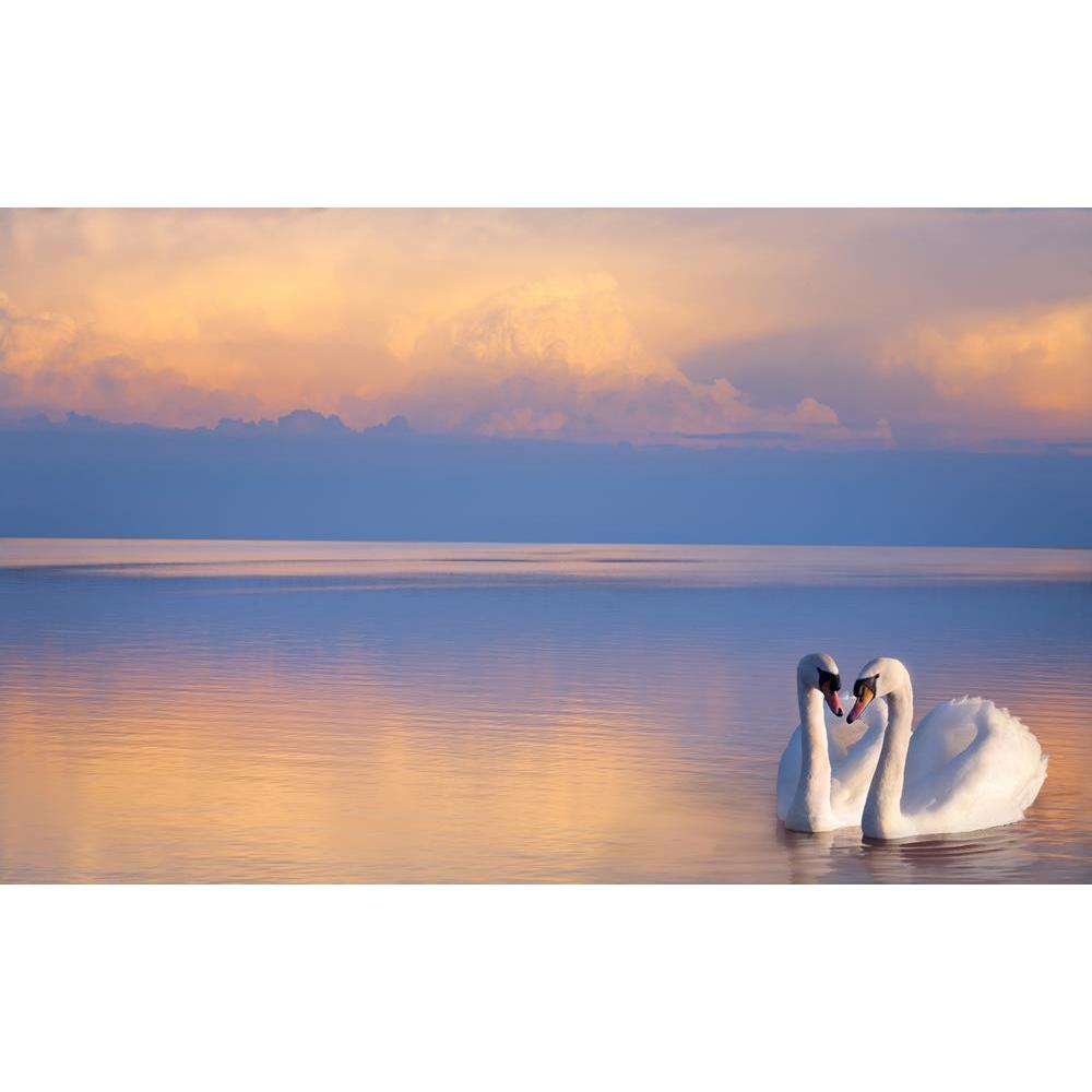 ArtzFolio Two White Swans On A Lake Peel & Stick Vinyl Wall Sticker-Laminated Wall Stickers-AZ5006274ART_UN_RF_R-0-Image Code 5006274 Vishnu Image Folio Pvt Ltd, IC 5006274, ArtzFolio, Laminated Wall Stickers, Birds, Photography, two, white, swans, on, a, lake, peel, stick, vinyl, wall, sticker, for, bedroom, large, size, decal, drawing, room, living, decorative, big, waterproof, home, office, reception, pitaara, box, designer, prints, kids, pvc, amazonbasics, washable, abstract, self, adhesive, imported, s