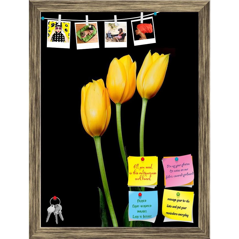 ArtzFolio Yellow Tulips Printed Bulletin Board Notice Pin Board Soft Board | Framed-Bulletin Boards Framed-AZ5006326BLB_FR_RF_R-0-Image Code 5006326 Vishnu Image Folio Pvt Ltd, IC 5006326, ArtzFolio, Bulletin Boards Framed, Floral, Photography, yellow, tulips, printed, bulletin, board, notice, pin, soft, framed, tulip, isolated, bud, netherlands, holland, white, spring, flower, holiday, celebration, bouquet, plant, beauty, herb, valentine, beautiful, background, green, petal, black, romantic, pin up board, 