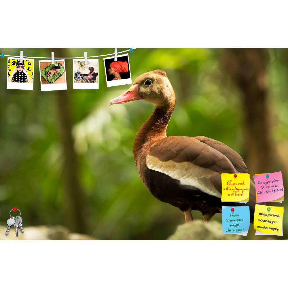 ArtzFolio Black Bellied Whistling Tree Duck in Mexico Printed Bulletin Board Notice Pin Board Soft Board | Frameless-Bulletin Boards Frameless-AZ5006327BLB_FL_RF_R-0-Image Code 5006327 Vishnu Image Folio Pvt Ltd, IC 5006327, ArtzFolio, Bulletin Boards Frameless, Birds, Photography, black, bellied, whistling, tree, duck, in, mexico, printed, bulletin, board, notice, pin, soft, frameless, black-bellied, autumnalis, dendrocygna, wildlif, pin up board, push pin board, extra large cork board, big pin board, noti