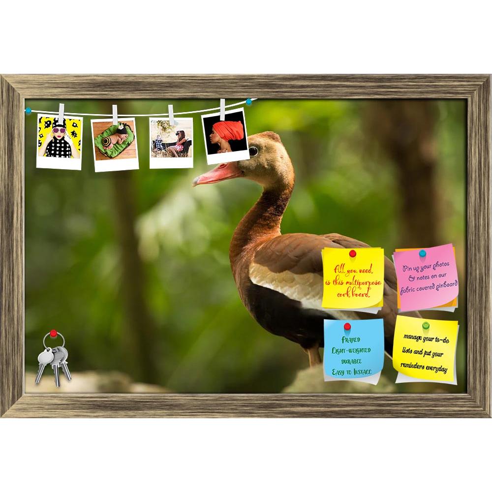 ArtzFolio Black Bellied Whistling Tree Duck in Mexico Printed Bulletin Board Notice Pin Board Soft Board | Framed-Bulletin Boards Framed-AZ5006327BLB_FR_RF_R-0-Image Code 5006327 Vishnu Image Folio Pvt Ltd, IC 5006327, ArtzFolio, Bulletin Boards Framed, Birds, Photography, black, bellied, whistling, tree, duck, in, mexico, printed, bulletin, board, notice, pin, soft, framed, black-bellied, autumnalis, dendrocygna, wildlif, pin up board, push pin board, extra large cork board, big pin board, notice board, sm
