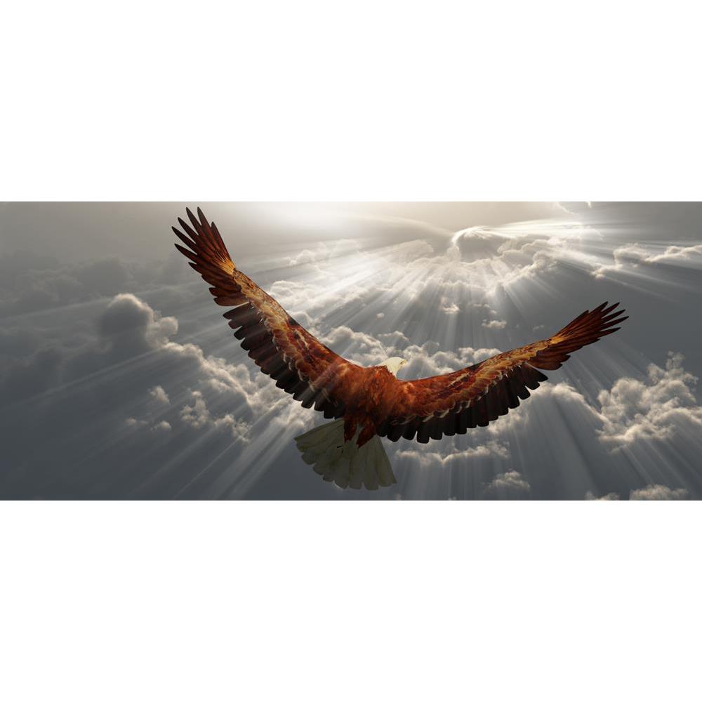 ArtzFolio Eagle In Flight Above Tyhe Clouds D2 Peel & Stick Vinyl Wall Sticker-Laminated Wall Stickers-AZ5006333ART_UN_RF_R-0-Image Code 5006333 Vishnu Image Folio Pvt Ltd, IC 5006333, ArtzFolio, Laminated Wall Stickers, Birds, Photography, eagle, in, flight, above, tyhe, clouds, d2, peel, stick, vinyl, wall, sticker, for, bedroom, large, size, decal, drawing, room, living, decorative, big, waterproof, home, office, reception, pitaara, box, designer, prints, kids, pvc, amazonbasics, washable, abstract, self