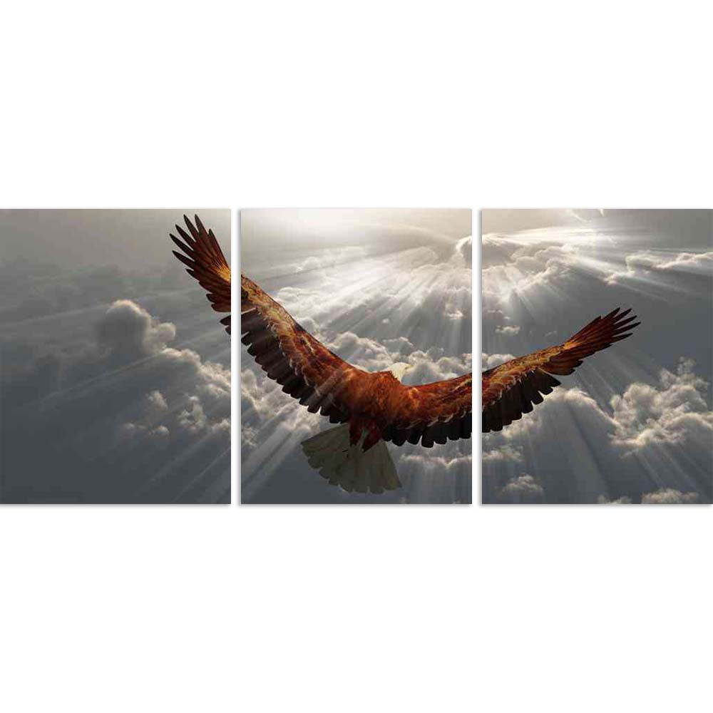 ArtzFolio Eagle In Flight Above Tyhe Clouds D2 Split Art Painting Panel on Sunboard-Split Art Panels-AZ5006333SPL_FR_RF_R-0-Image Code 5006333 Vishnu Image Folio Pvt Ltd, IC 5006333, ArtzFolio, Split Art Panels, Birds, Photography, eagle, in, flight, above, tyhe, clouds, d2, split, art, painting, panel, on, sunboard, framed, canvas, print, wall, for, living, room, with, frame, poster, pitaara, box, large, size, drawing, big, office, reception, of, kids, designer, decorative, amazonbasics, reprint, small, be