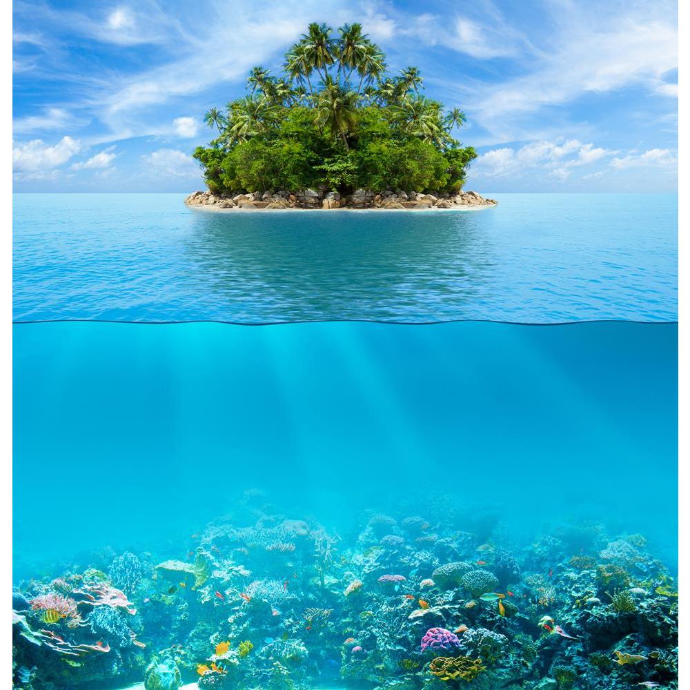 ArtzFolio Underwater Coral Reef Seabed Unframed Premium Canvas Painting-Paintings Unframed Premium-AZ5006388ART_UN_RF_R-0-Image Code 5006388 Vishnu Image Folio Pvt Ltd, IC 5006388, ArtzFolio, Paintings Unframed Premium, Landscapes, Photography, underwater, coral, reef, seabed, unframed, premium, canvas, painting, large, size, print, wall, for, living, room, without, frame, decorative, poster, art, pitaara, box, drawing, amazonbasics, big, kids, designer, office, reception, reprint, bedroom, panel, panels, o