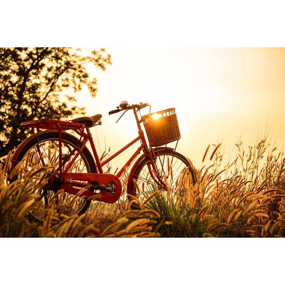 ArtzFolio Beautiful Landscape Image With Bicycle At Sunset Canvas Painting-Paintings MDF Framing-AZ5006407ART_UN_RF_R-0-Image Code 5006407 Vishnu Image Folio Pvt Ltd, IC 5006407, ArtzFolio, Paintings MDF Framing, Landscapes, Photography, beautiful, landscape, image, with, bicycle, at, sunset, canvas, painting, framed, print, wall, for, living, room, frame, poster, pitaara, box, large, size, drawing, art, split, big, office, reception, of, kids, panel, designer, decorative, amazonbasics, reprint, small, bedr