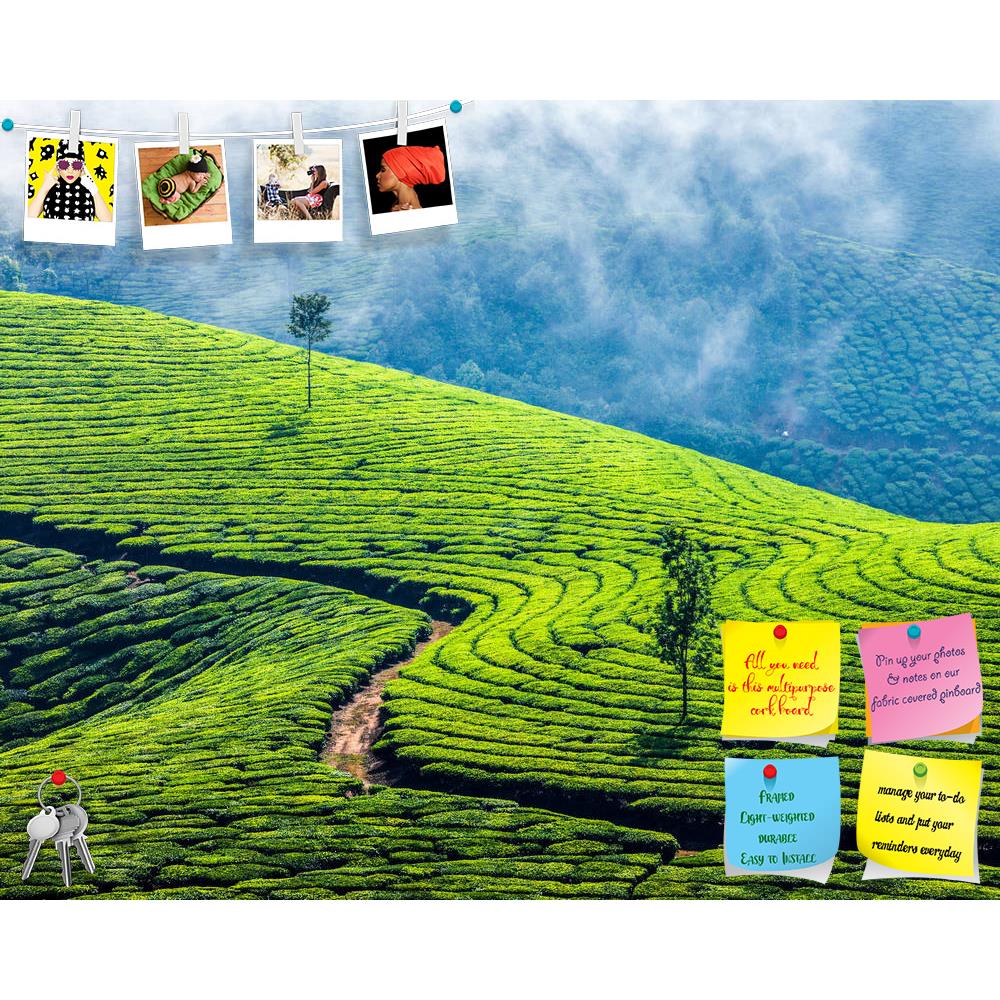 ArtzFolio Image of Tea Plantations In Munnar, Kerala, India Printed Bulletin Board Notice Pin Board Soft Board | Frameless-Bulletin Boards Frameless-AZ5006416BLB_FL_RF_R-0-Image Code 5006416 Vishnu Image Folio Pvt Ltd, IC 5006416, ArtzFolio, Bulletin Boards Frameless, Landscapes, Places, Photography, image, of, tea, plantations, in, munnar, kerala, india, printed, bulletin, board, notice, pin, soft, frameless, indian, landscape, scenics, fresh, freshness, rural, agriculture, asia, asian, tourism, tourist, t
