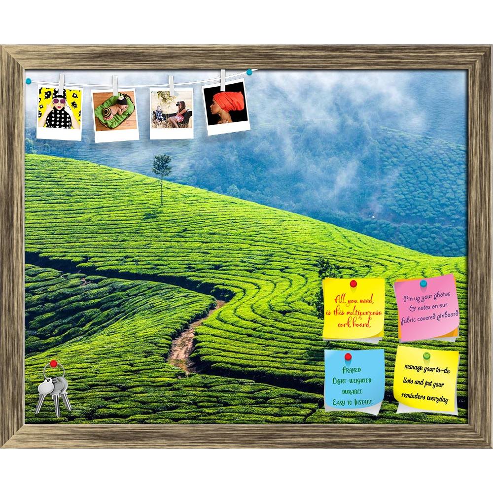 ArtzFolio Image of Tea Plantations In Munnar, Kerala, India Printed Bulletin Board Notice Pin Board Soft Board | Framed-Bulletin Boards Framed-AZ5006416BLB_FR_RF_R-0-Image Code 5006416 Vishnu Image Folio Pvt Ltd, IC 5006416, ArtzFolio, Bulletin Boards Framed, Landscapes, Places, Photography, image, of, tea, plantations, in, munnar, kerala, india, printed, bulletin, board, notice, pin, soft, framed, indian, landscape, scenics, fresh, freshness, rural, agriculture, asia, asian, tourism, tourist, tranquil, tra