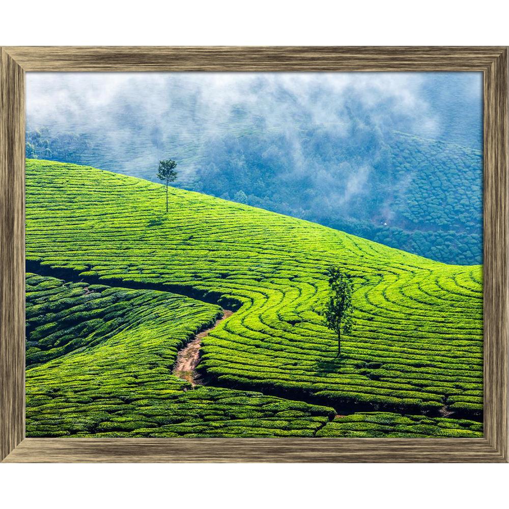 ArtzFolio Image of Tea Plantations In Munnar, Kerala, India Canvas Painting Synthetic Frame-Paintings Synthetic Framing-AZ5006416ART_FR_RF_R-0-Image Code 5006416 Vishnu Image Folio Pvt Ltd, IC 5006416, ArtzFolio, Paintings Synthetic Framing, Landscapes, Places, Photography, image, of, tea, plantations, in, munnar, kerala, india, canvas, painting, synthetic, frame, framed, print, wall, for, living, room, with, poster, pitaara, box, large, size, drawing, art, split, big, office, reception, kids, panel, design