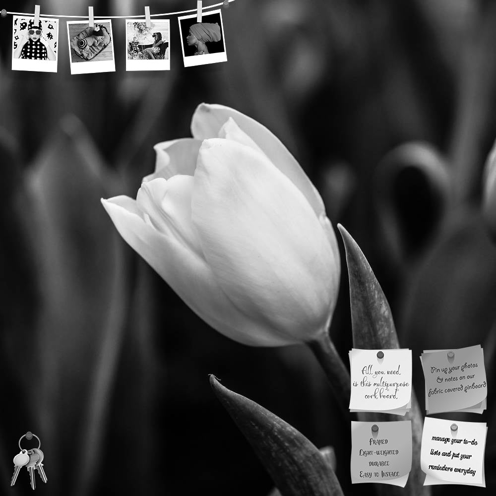 ArtzFolio Tulips Black & White Printed Bulletin Board Notice Pin Board Soft Board | Frameless-Bulletin Boards Frameless-AZ5006493BLB_FL_RF_R-0-Image Code 5006493 Vishnu Image Folio Pvt Ltd, IC 5006493, ArtzFolio, Bulletin Boards Frameless, Floral, Photography, tulips, black, white, printed, bulletin, board, notice, pin, soft, frameless, flower, tulip, bridal, macro, arrangement, pin up board, push pin board, extra large cork board, big pin board, notice board, small bulletin board, cork board, wall notice b