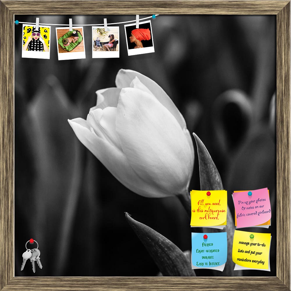ArtzFolio Tulips Black & White Printed Bulletin Board Notice Pin Board Soft Board | Framed-Bulletin Boards Framed-AZ5006493BLB_FR_RF_R-0-Image Code 5006493 Vishnu Image Folio Pvt Ltd, IC 5006493, ArtzFolio, Bulletin Boards Framed, Floral, Photography, tulips, black, white, printed, bulletin, board, notice, pin, soft, framed, flower, tulip, bridal, macro, arrangement, pin up board, push pin board, extra large cork board, big pin board, notice board, small bulletin board, cork board, wall notice board, giant 
