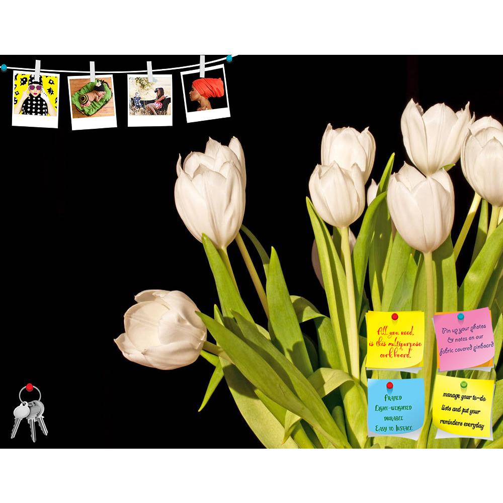 ArtzFolio Bunch Of White Tulips Isolated On Black Background Printed Bulletin Board Notice Pin Board Soft Board | Frameless-Bulletin Boards Frameless-AZ5006496BLB_FL_RF_R-0-Image Code 5006496 Vishnu Image Folio Pvt Ltd, IC 5006496, ArtzFolio, Bulletin Boards Frameless, Floral, Photography, bunch, of, white, tulips, isolated, on, black, background, printed, bulletin, board, notice, pin, soft, frameless, tulip, flower, flowers, bouquet, many, blossom, spring, pin up board, push pin board, extra large cork boa