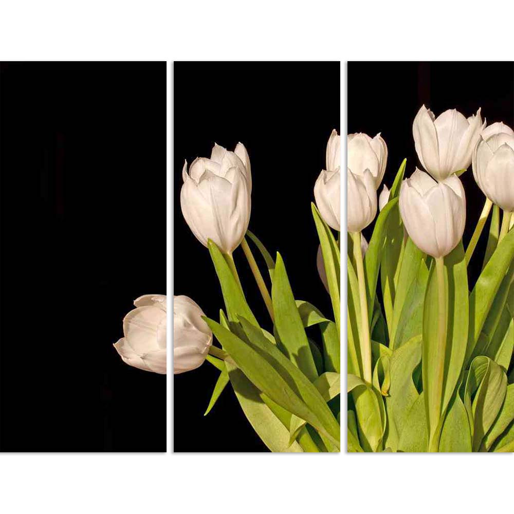 ArtzFolio Bunch Of White Tulips Isolated On Black Background Split Art Painting Panel on Sunboard-Split Art Panels-AZ5006496SPL_FR_RF_R-0-Image Code 5006496 Vishnu Image Folio Pvt Ltd, IC 5006496, ArtzFolio, Split Art Panels, Floral, Photography, bunch, of, white, tulips, isolated, on, black, background, split, art, painting, panel, sunboard, framed, canvas, print, wall, for, living, room, with, frame, poster, pitaara, box, large, size, drawing, big, office, reception, kids, designer, decorative, amazonbasi
