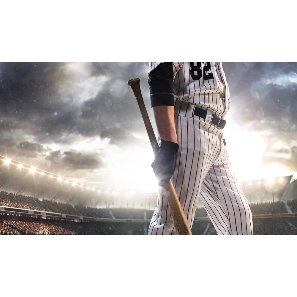 ArtzFolio Baseball Player in Action on Grand Arena Unframed Premium Canvas Painting-Paintings Unframed Premium-AZ5006503ART_UN_RF_R-0-Image Code 5006503 Vishnu Image Folio Pvt Ltd, IC 5006503, ArtzFolio, Paintings Unframed Premium, Sports, Photography, baseball, player, in, action, on, grand, arena, unframed, premium, canvas, painting, large, size, print, wall, for, living, room, without, frame, decorative, poster, art, pitaara, box, drawing, amazonbasics, big, kids, designer, office, reception, reprint, be