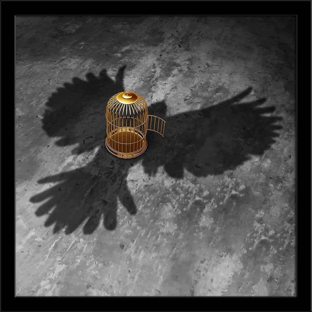 Cage Freedom Concept, Symbol Of Liberty & Justice Painting Poster Frame-Regular Art Framed-REG_FR-IC 5006524 IC 5006524, Birds, Conceptual, Icons, Signs and Symbols, Symbols, Metallic, cage, freedom, concept, symbol, of, liberty, justice, painting, poster, frame, shadow, bird, birdcage, breaking, free, accusation, barred, breakout, crime, criminal, detention, door, escape, feather, flying, guilt, icon, ideas, innocent, jail, lock, message, metaphor, open, peace, penitentiary, prison, secure, soar, steel, su