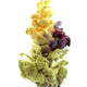 Sticky Image