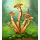 Sticky Image