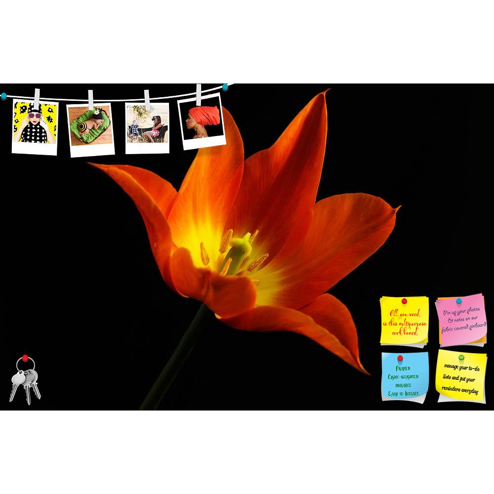 ArtzFolio Close Up of Orange Tulip Flower Printed Bulletin Board Notice Pin Board Soft Board | Frameless-Bulletin Boards Frameless-AZ5006664BLB_FL_RF_R-0-Image Code 5006664 Vishnu Image Folio Pvt Ltd, IC 5006664, ArtzFolio, Bulletin Boards Frameless, Floral, Photography, close, up, of, orange, tulip, flower, printed, bulletin, board, notice, pin, soft, frameless, spring, black, plant, nature, petal, background, green, beautiful, isolated, blossom, beauty, bloom, closeup, single, leaf, bright, stem, color, r
