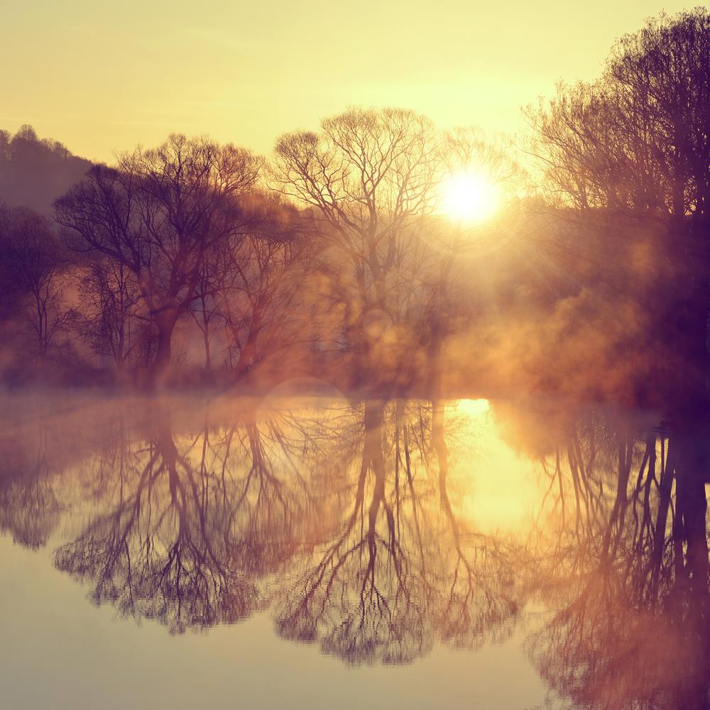 ArtzFolio Sunrise Over The Pond Canvas Painting-Paintings MDF Framing-AZ5006669ART_UN_RF_R-0-Image Code 5006669 Vishnu Image Folio Pvt Ltd, IC 5006669, ArtzFolio, Paintings MDF Framing, Landscapes, Photography, sunrise, over, the, pond, canvas, painting, framed, print, wall, for, living, room, with, frame, poster, pitaara, box, large, size, drawing, art, split, big, office, reception, of, kids, panel, designer, decorative, amazonbasics, reprint, small, bedroom, on, scenery, painting, framed, canvas, print, 