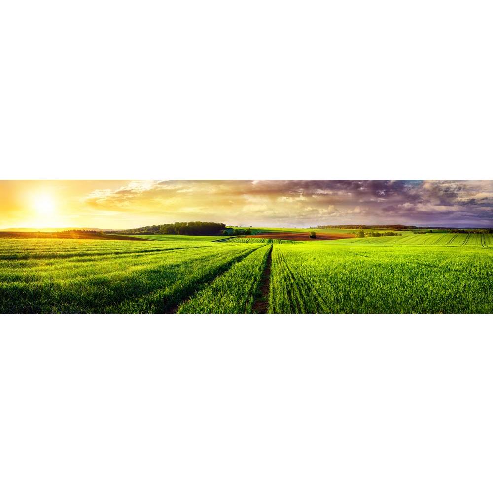 ArtzFolio Vast Rural Landscape Sunset Panorama Unframed Premium Canvas Painting-Paintings Unframed Premium-AZ5006717ART_UN_RF_R-0-Image Code 5006717 Vishnu Image Folio Pvt Ltd, IC 5006717, ArtzFolio, Paintings Unframed Premium, Landscapes, Photography, vast, rural, landscape, sunset, panorama, unframed, premium, canvas, painting, large, size, print, wall, for, living, room, without, frame, decorative, poster, art, pitaara, box, drawing, amazonbasics, big, kids, designer, office, reception, reprint, bedroom,