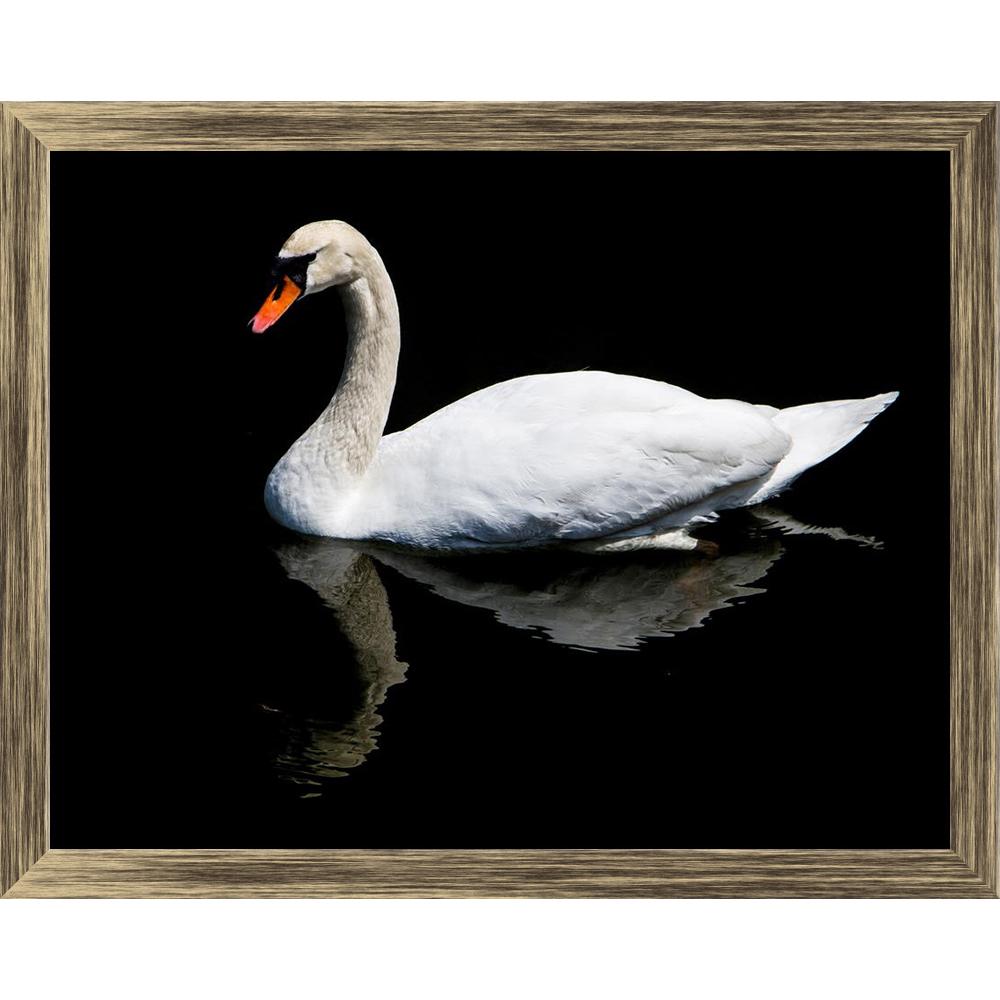 ArtzFolio White Swan Reflected In The Lake Canvas Painting Synthetic Frame-Paintings Synthetic Framing-AZ5006738ART_FR_RF_R-0-Image Code 5006738 Vishnu Image Folio Pvt Ltd, IC 5006738, ArtzFolio, Paintings Synthetic Framing, Birds, Photography, white, swan, reflected, in, the, lake, canvas, painting, synthetic, frame, framed, print, wall, for, living, room, with, poster, pitaara, box, large, size, drawing, art, split, big, office, reception, of, kids, panel, designer, decorative, amazonbasics, reprint, smal