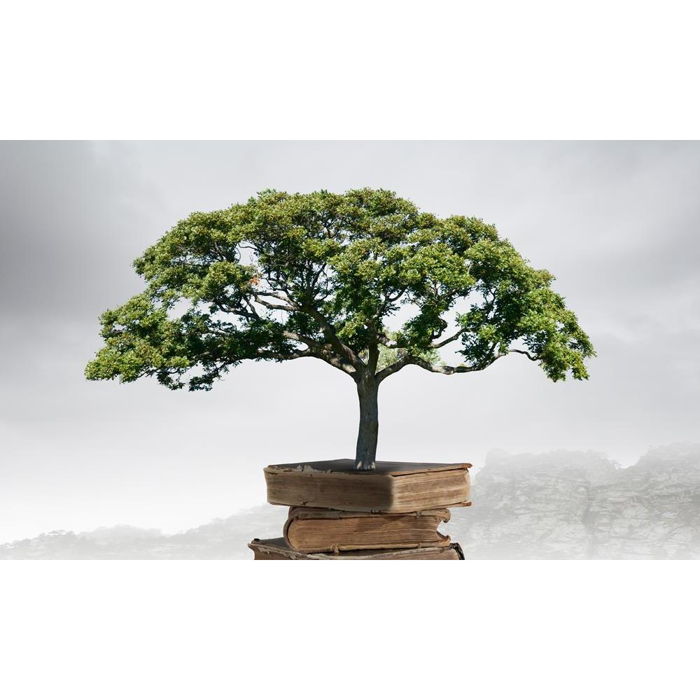 ArtzFolio Conceptual Image With Green Tree Growing From Book D2 Canvas Painting-Paintings MDF Framing-AZ5006745ART_UN_RF_R-0-Image Code 5006745 Vishnu Image Folio Pvt Ltd, IC 5006745, ArtzFolio, Paintings MDF Framing, Conceptual, Kids, Digital Art, image, with, green, tree, growing, from, book, d2, canvas, painting, framed, print, wall, for, living, room, frame, poster, pitaara, box, large, size, drawing, art, split, big, office, reception, photography, of, panel, designer, decorative, amazonbasics, reprint