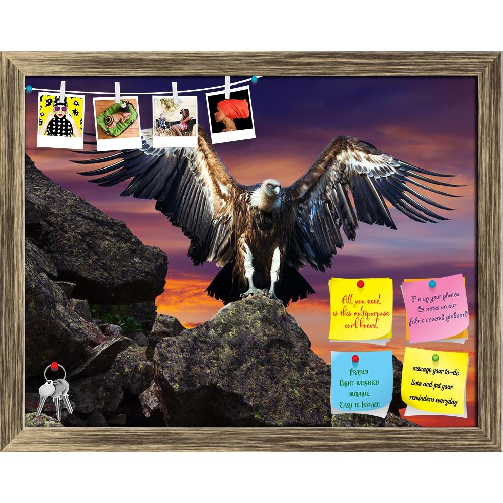 ArtzFolio Condor Sitting On Stone Against Sunset Sky Printed Bulletin Board Notice Pin Board Soft Board | Framed-Bulletin Boards Framed-AZ5006750BLB_FR_RF_R-0-Image Code 5006750 Vishnu Image Folio Pvt Ltd, IC 5006750, ArtzFolio, Bulletin Boards Framed, Birds, Photography, condor, sitting, on, stone, against, sunset, sky, printed, bulletin, board, notice, pin, soft, framed, vulture, wingspan, eagle, span, vultur, gryphus, bird, nature, animal, wild, albicilla, freedom, wildlife, haliaeetus, feather, wings, p