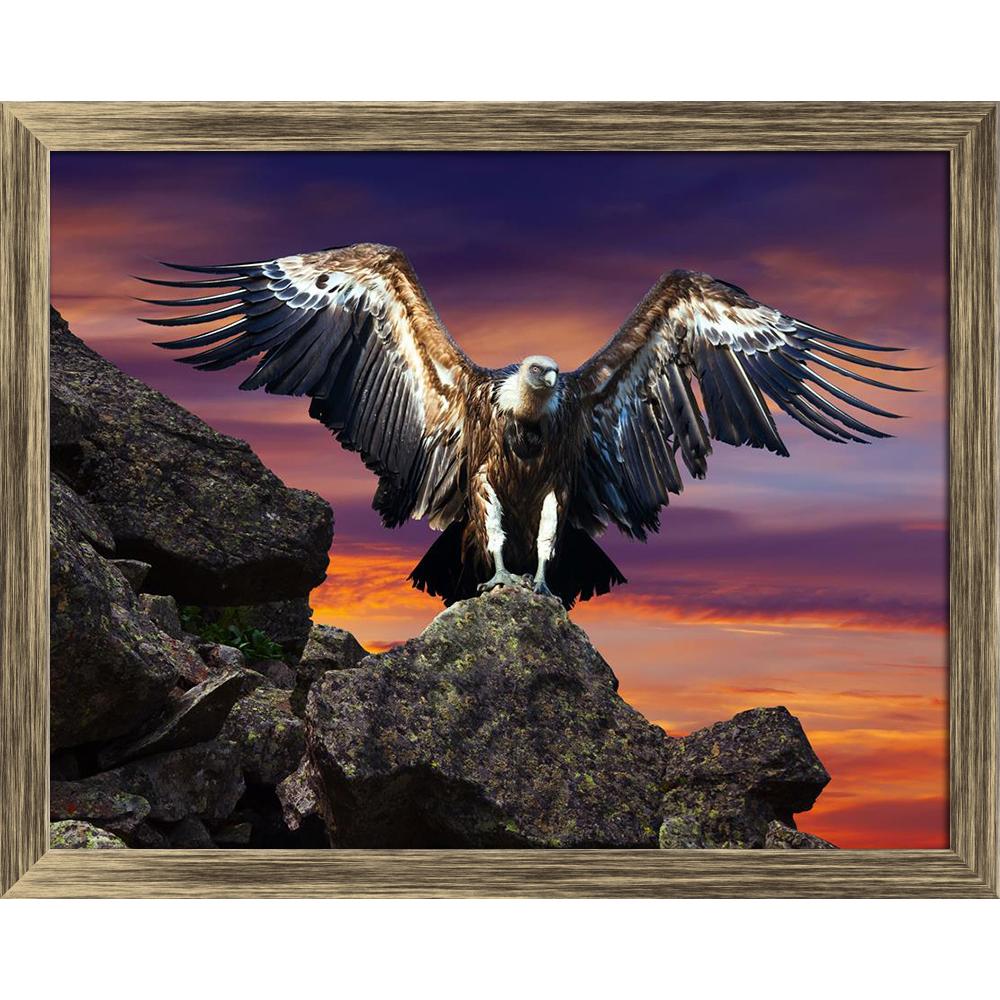 ArtzFolio Condor Sitting On Stone Against Sunset Sky Canvas Painting-Paintings Wooden Framing-AZ5006750ART_FR_RF_R-0-Image Code 5006750 Vishnu Image Folio Pvt Ltd, IC 5006750, ArtzFolio, Paintings Wooden Framing, Birds, Photography, condor, sitting, on, stone, against, sunset, sky, canvas, painting, framed, print, wall, for, living, room, with, frame, poster, pitaara, box, large, size, drawing, art, split, big, office, reception, of, kids, panel, designer, decorative, amazonbasics, reprint, small, bedroom, 