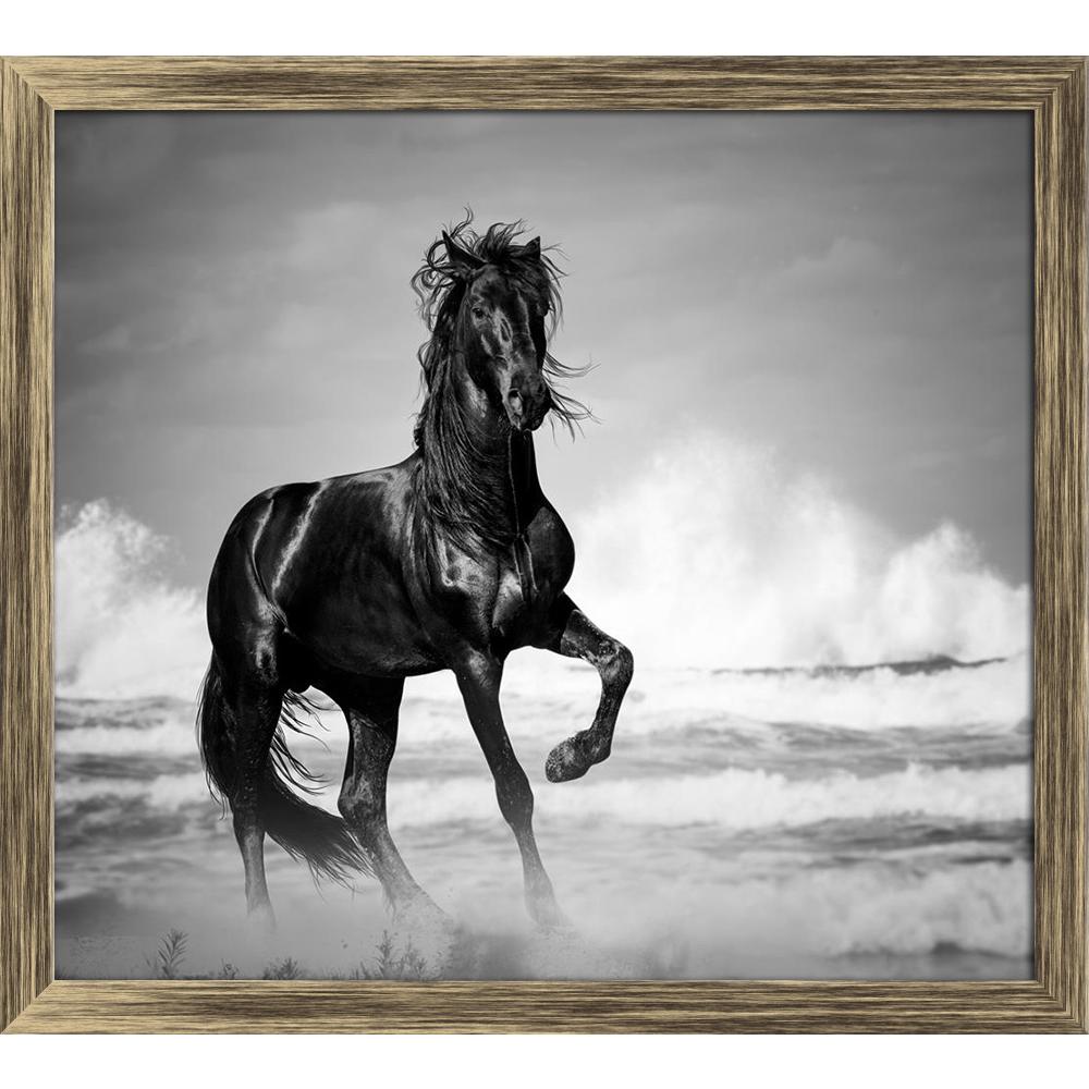 ArtzFolio Black Stallion By The Seaside In The Wild Canvas Painting-Paintings Wooden Framing-AZ5006768ART_FR_RF_R-0-Image Code 5006768 Vishnu Image Folio Pvt Ltd, IC 5006768, ArtzFolio, Paintings Wooden Framing, Animals, Photography, black, stallion, by, the, seaside, in, wild, canvas, painting, framed, print, wall, for, living, room, with, frame, poster, pitaara, box, large, size, drawing, art, split, big, office, reception, of, kids, panel, designer, decorative, amazonbasics, reprint, small, bedroom, on, 