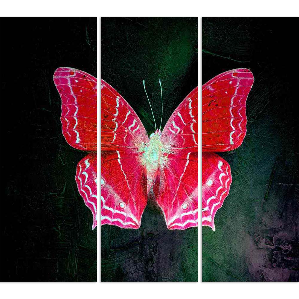 ArtzFolio Double Effect Butterfly Background Image D1 Split Art Painting Panel on Sunboard-Split Art Panels-AZ5006792SPL_FR_RF_R-0-Image Code 5006792 Vishnu Image Folio Pvt Ltd, IC 5006792, ArtzFolio, Split Art Panels, Birds, Digital Art, double, effect, butterfly, background, image, d1, split, art, painting, panel, on, sunboard, framed, canvas, print, wall, for, living, room, with, frame, poster, pitaara, box, large, size, drawing, big, office, reception, photography, of, kids, designer, decorative, amazon
