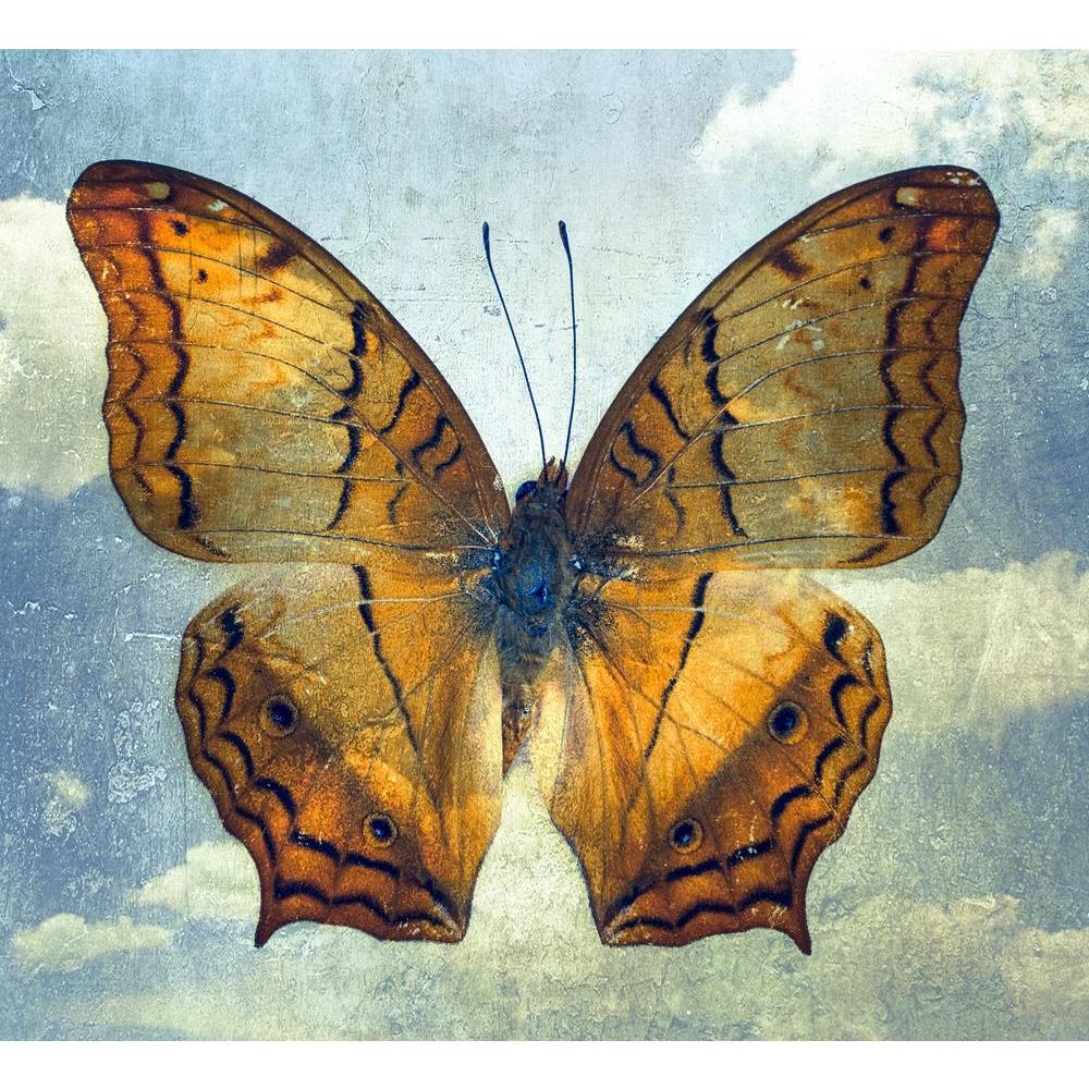 ArtzFolio Double Effect Butterfly Background Image D2 Unframed Premium Canvas Painting-Paintings Unframed Premium-AZ5006793ART_UN_RF_R-0-Image Code 5006793 Vishnu Image Folio Pvt Ltd, IC 5006793, ArtzFolio, Paintings Unframed Premium, Birds, Vintage, Digital Art, double, effect, butterfly, background, image, d2, unframed, premium, canvas, painting, large, size, print, wall, for, living, room, without, frame, decorative, poster, art, pitaara, box, drawing, photography, amazonbasics, big, kids, designer, offi