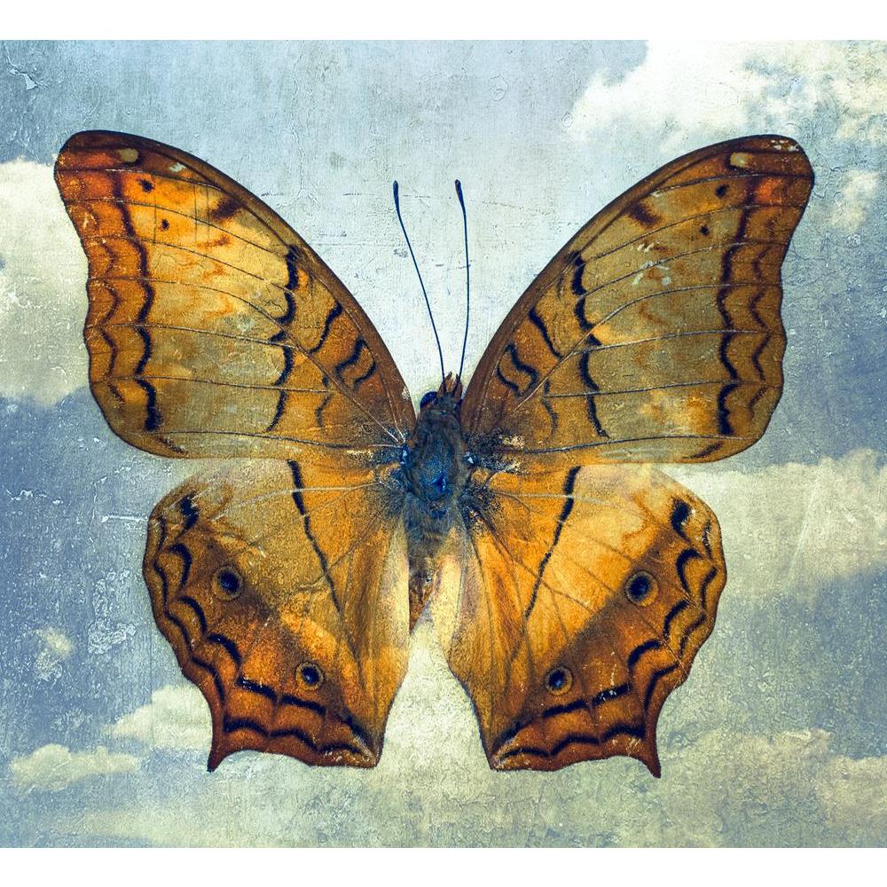 ArtzFolio Double Effect Butterfly Background Image D2 Canvas Painting-Paintings MDF Framing-AZ5006793ART_UN_RF_R-0-Image Code 5006793 Vishnu Image Folio Pvt Ltd, IC 5006793, ArtzFolio, Paintings MDF Framing, Birds, Vintage, Digital Art, double, effect, butterfly, background, image, d2, canvas, painting, framed, print, wall, for, living, room, with, frame, poster, pitaara, box, large, size, drawing, art, split, big, office, reception, photography, of, kids, panel, designer, decorative, amazonbasics, reprint,