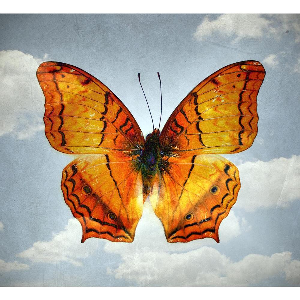 ArtzFolio Double Effect Butterfly Background Image D4 Unframed Premium Canvas Painting-Paintings Unframed Premium-AZ5006795ART_UN_RF_R-0-Image Code 5006795 Vishnu Image Folio Pvt Ltd, IC 5006795, ArtzFolio, Paintings Unframed Premium, Birds, Vintage, Digital Art, double, effect, butterfly, background, image, d4, unframed, premium, canvas, painting, large, size, print, wall, for, living, room, without, frame, decorative, poster, art, pitaara, box, drawing, photography, amazonbasics, big, kids, designer, offi