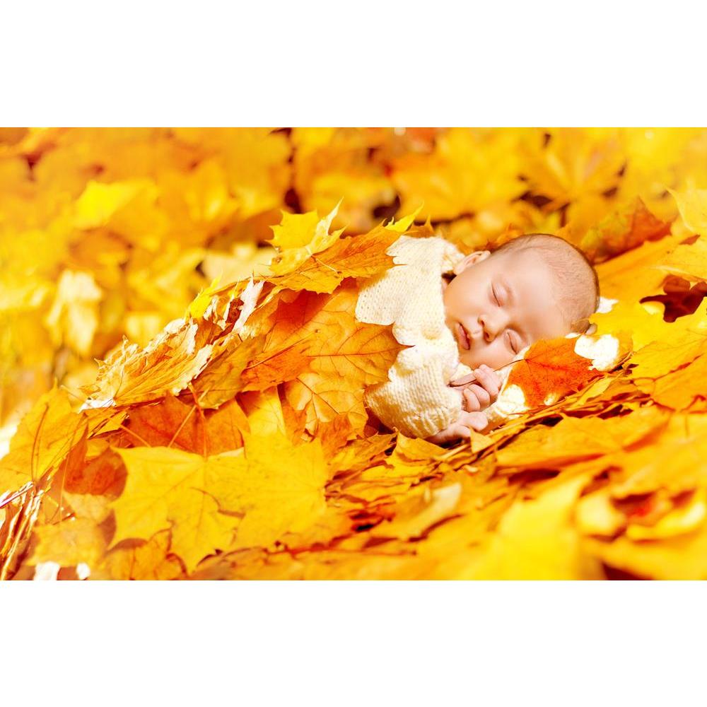 ArtzFolio Newborn Baby Sleeping In Fall Yellow Leaves Autumn Canvas Painting-Paintings MDF Framing-AZ5006821ART_UN_RF_R-0-Image Code 5006821 Vishnu Image Folio Pvt Ltd, IC 5006821, ArtzFolio, Paintings MDF Framing, Kids, Photography, newborn, baby, sleeping, in, fall, yellow, leaves, autumn, canvas, painting, framed, print, wall, for, living, room, with, frame, poster, pitaara, box, large, size, drawing, art, split, big, office, reception, of, panel, designer, decorative, amazonbasics, reprint, small, bedro