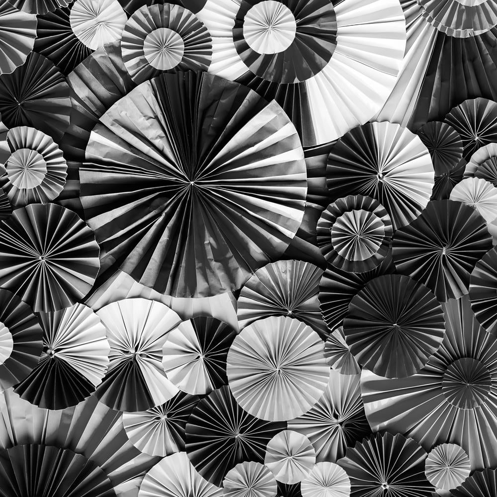 ArtzFolio Abstract Black White Paper Flower Art Unframed Premium Canvas Painting-Paintings Unframed Premium-AZ5006844ART_UN_RF_R-0-Image Code 5006844 Vishnu Image Folio Pvt Ltd, IC 5006844, ArtzFolio, Paintings Unframed Premium, Abstract, Photography, black, white, paper, flower, art, unframed, premium, canvas, painting, large, size, print, wall, for, living, room, without, frame, decorative, poster, pitaara, box, drawing, amazonbasics, big, kids, designer, office, reception, reprint, bedroom, panel, panels