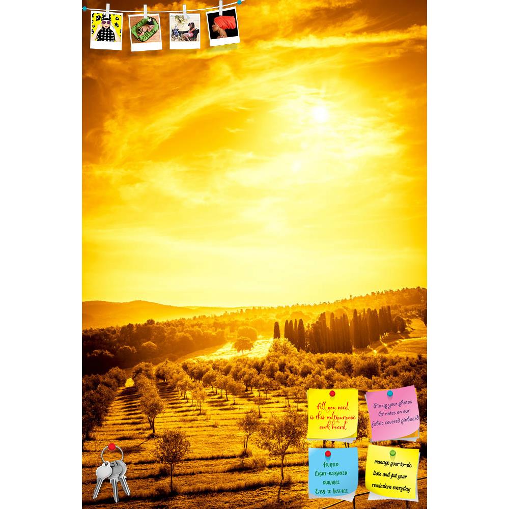 ArtzFolio Olive Field in Tuscany, Central Italy Printed Bulletin Board Notice Pin Board Soft Board | Frameless-Bulletin Boards Frameless-AZ5006847BLB_FL_RF_R-0-Image Code 5006847 Vishnu Image Folio Pvt Ltd, IC 5006847, ArtzFolio, Bulletin Boards Frameless, Landscapes, Places, Photography, olive, field, in, tuscany, central, italy, printed, bulletin, board, notice, pin, soft, frameless, countryside, tuscan, road, farm, landscape, fiel, pin up board, push pin board, extra large cork board, big pin board, noti