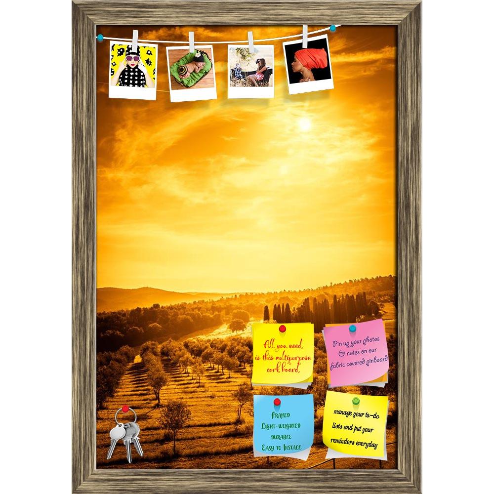 ArtzFolio Olive Field in Tuscany, Central Italy Printed Bulletin Board Notice Pin Board Soft Board | Framed-Bulletin Boards Framed-AZ5006847BLB_FR_RF_R-0-Image Code 5006847 Vishnu Image Folio Pvt Ltd, IC 5006847, ArtzFolio, Bulletin Boards Framed, Landscapes, Places, Photography, olive, field, in, tuscany, central, italy, printed, bulletin, board, notice, pin, soft, framed, countryside, tuscan, road, farm, landscape, fiel, pin up board, push pin board, extra large cork board, big pin board, notice board, sm